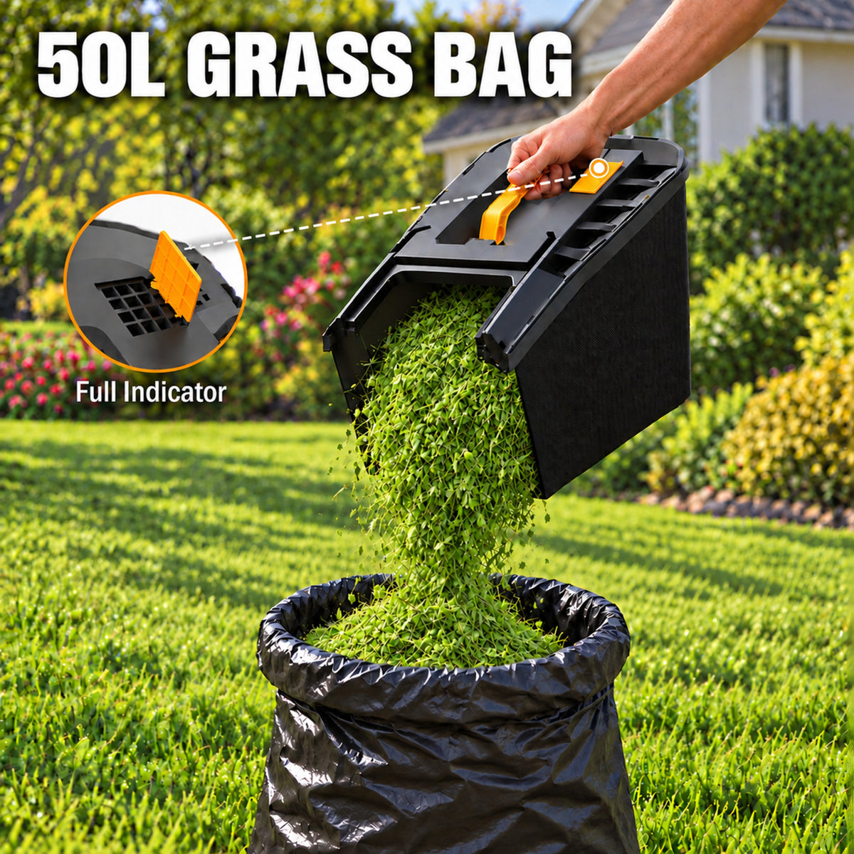 2 x 20V Cordless Lawn Mower, 19-Inch Brushless Push Mower, 6 Cutting Heights, 2-in-1 Mulching & Bagging, 50L Grass Bag, Compatible with DEWALT 20V MAX Batteries, Batteries Not Included